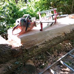 Live Edge Slabs.