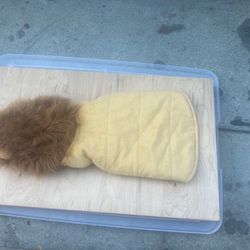 Lion Dog Costumes Size M