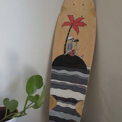 Skateboard - Mini Cruiser