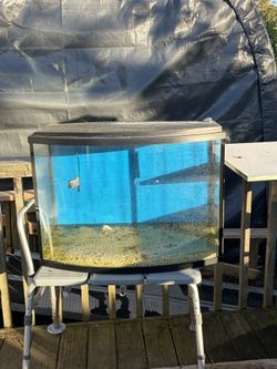36 Gallon Bow Front Fish Tank