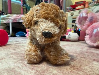 Mini dog