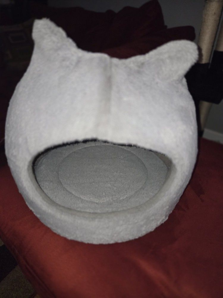 Cat Bed 20.00