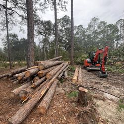 Tree Clearing