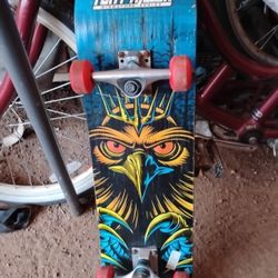 Tony Hawk Sk8 Board. 