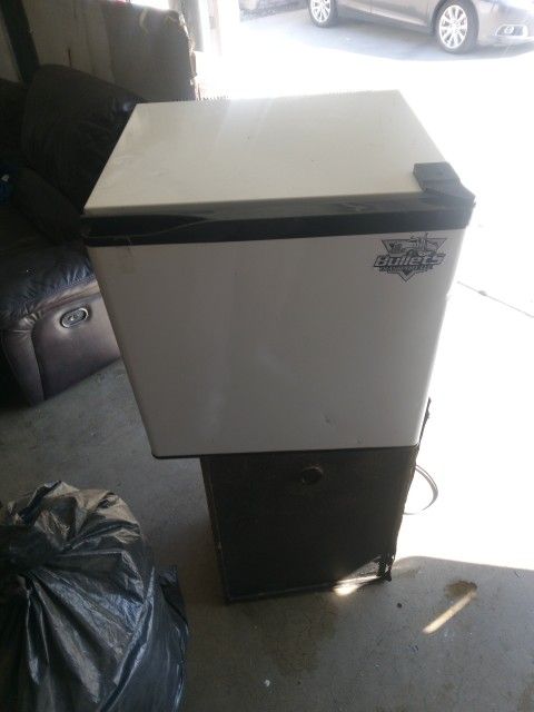 Mini Fridge