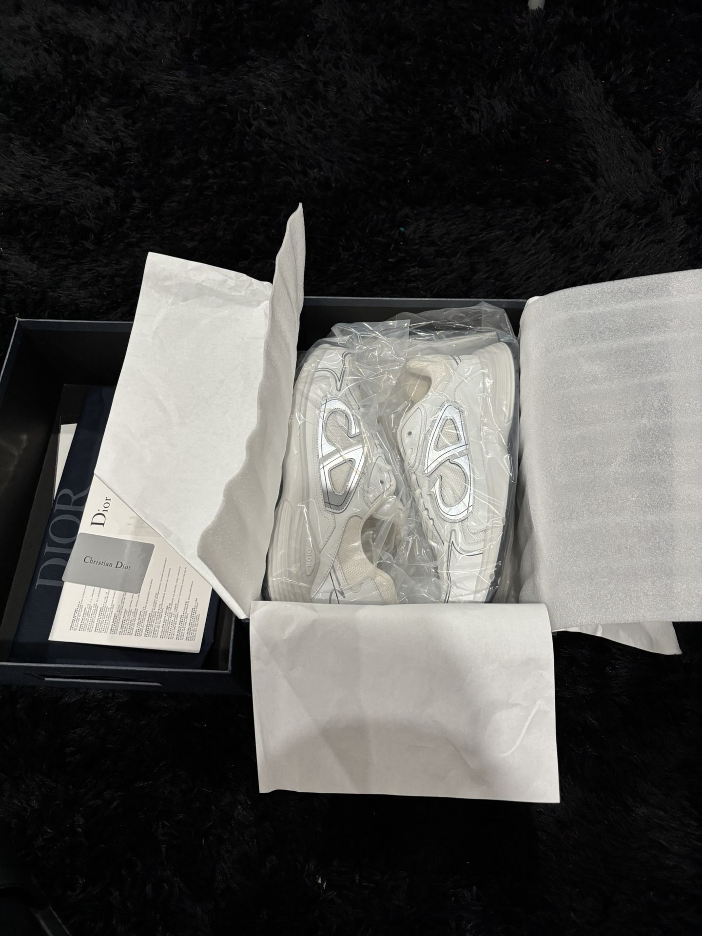 Dior B30 White/Grey
