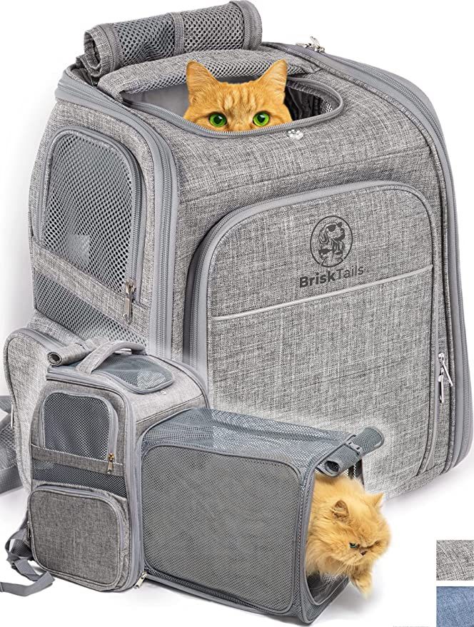Expandable Breathable Cat Backpack