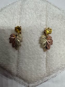 Vintage Black Hills Gold 10K Earrings 14K Gold Clasps Tri-Color