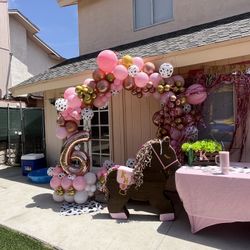 Balloon Garland 