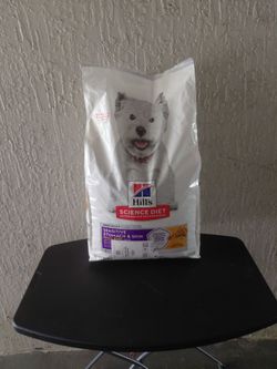 Adult Sensitive Stomach & Skin Dog Food