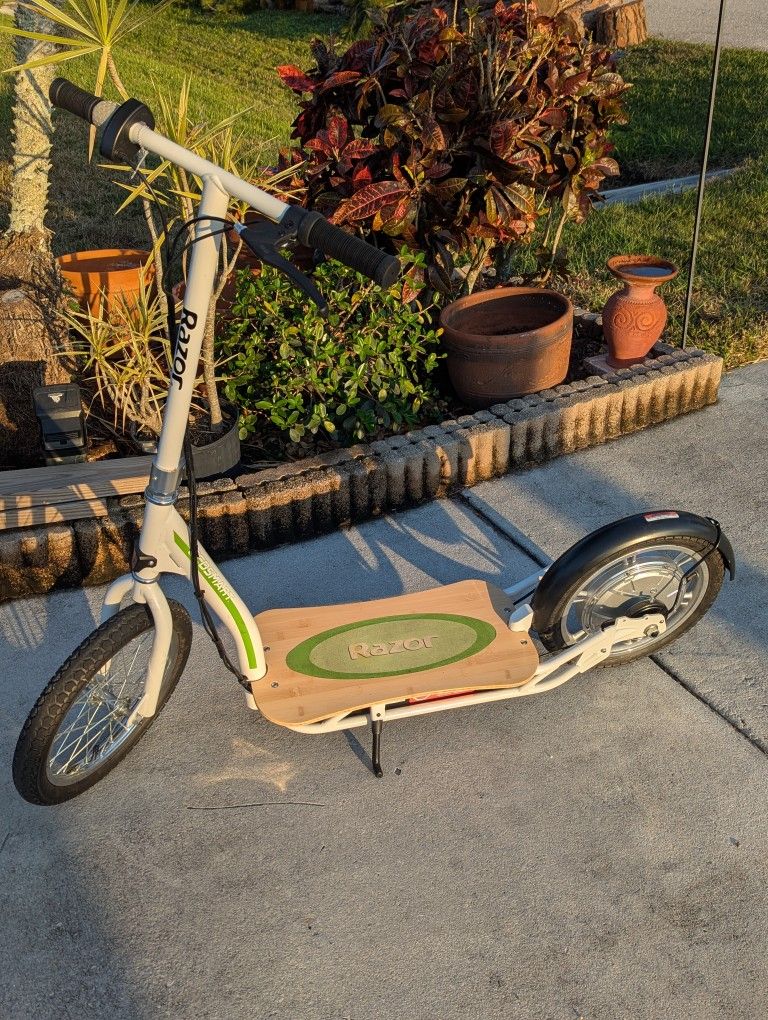 Razor Ecosmart Sup Scooter