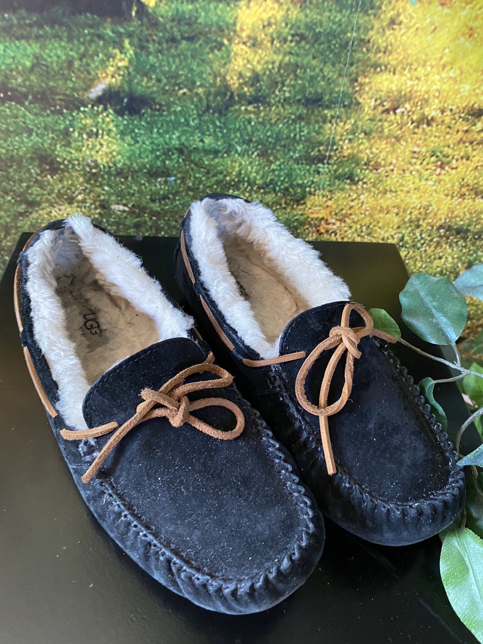 UGG Dakota Black Slippers