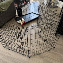 EveryYay Dog Play Pen Medium