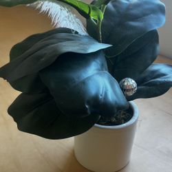 Cute Fake Plant (lasts Forever)