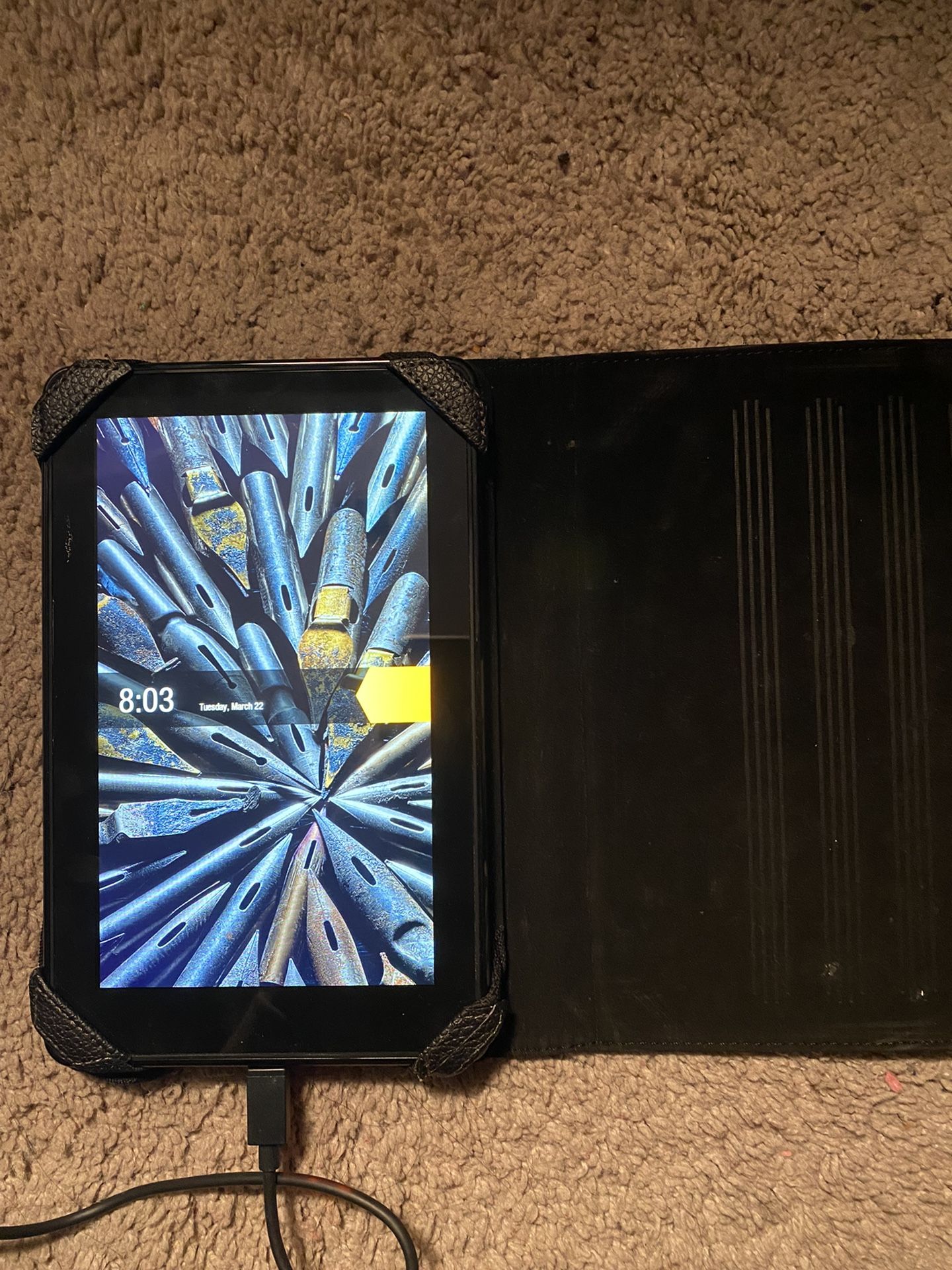 Kindle Fire (with case)