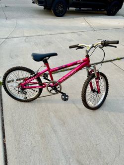 20 inch bike, great condition $55