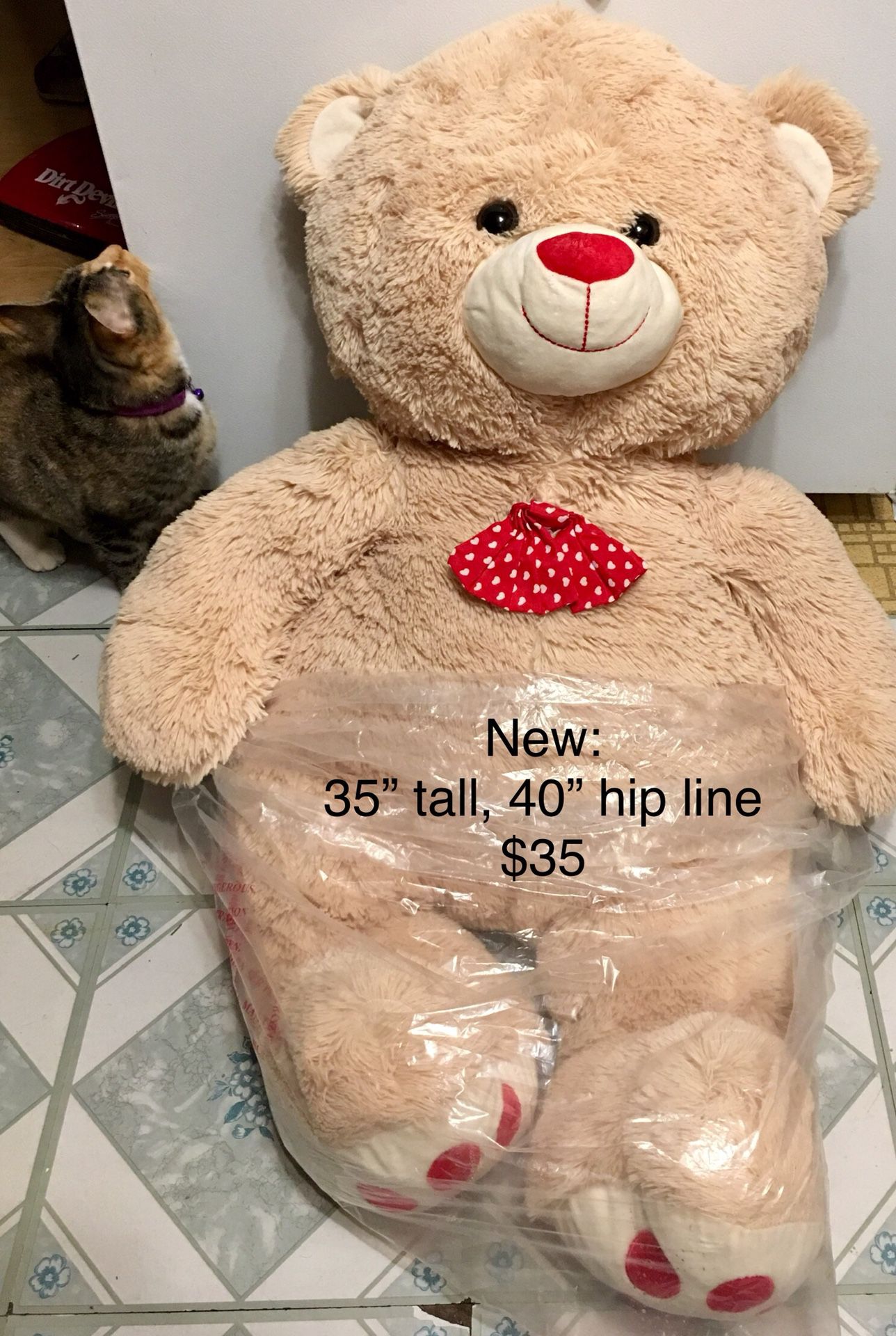 Teddy bear giant, new