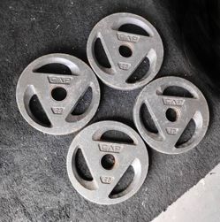 25Lbs × 4 CAP Tri-grip Olympic weights