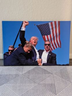 Trump Canvas Art