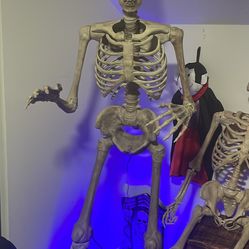Grim Spirit Halloween Animatronic Halloween