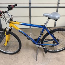 Schwinn Mountain Bike (Taiwan Frame)