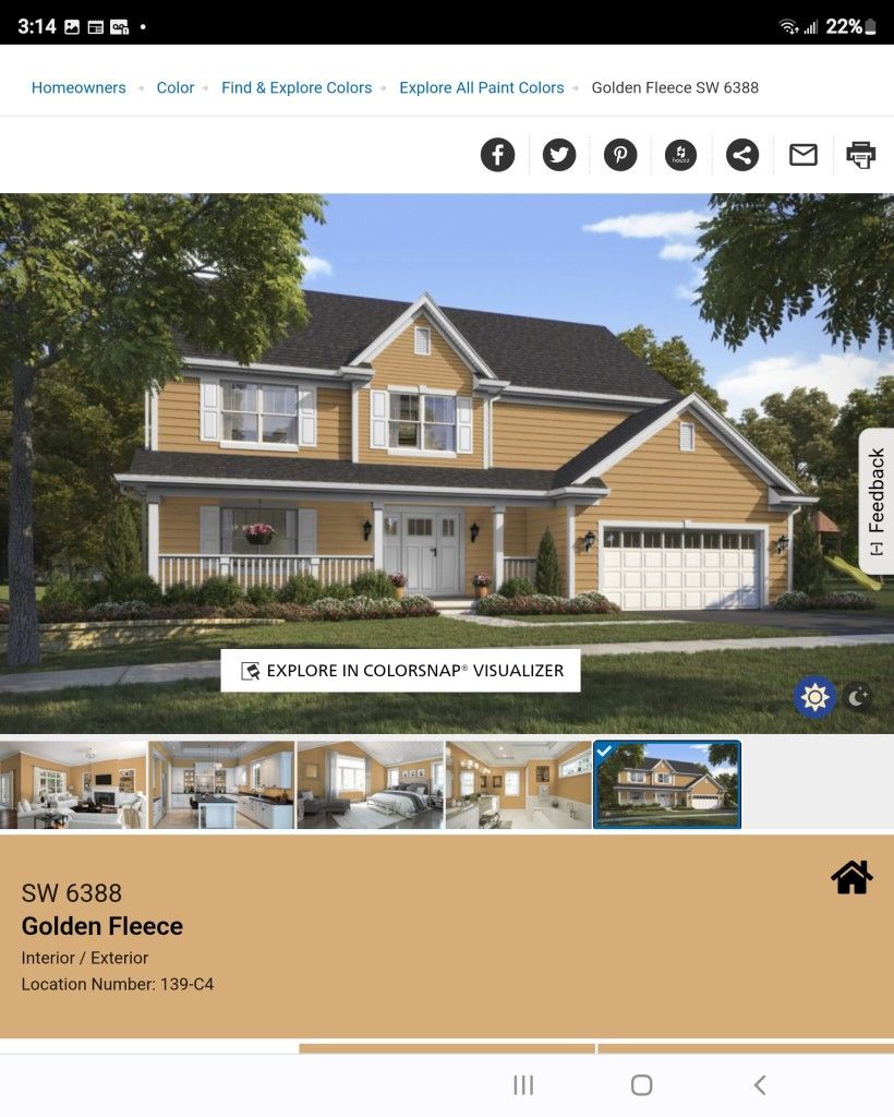 Pintura Nueva Y Primer