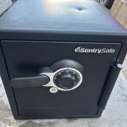 SentrySafe 1.2 cu. ft. Fireproof & Waterproof Safe with Dial Combination Lock and Dual Key