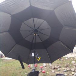 Umbrella 