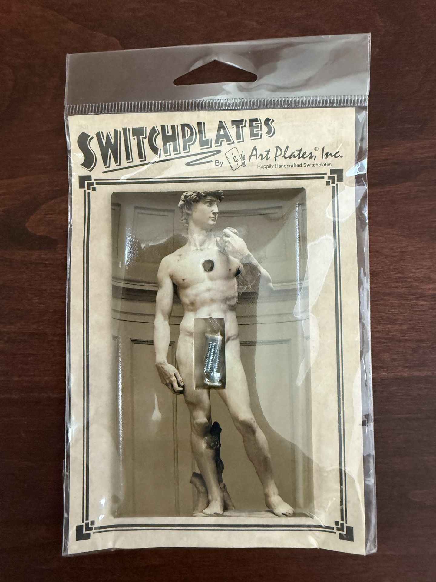 Statue Of David Switch Plate By Art Plates Inc