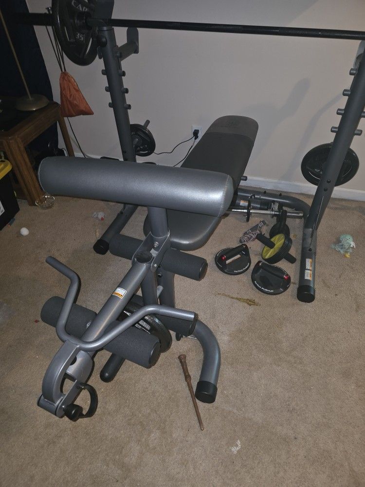 Weight Bench With Olympic Weights