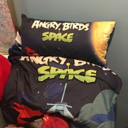 Angry Birds space sleeping bag and pillow great for any kid!