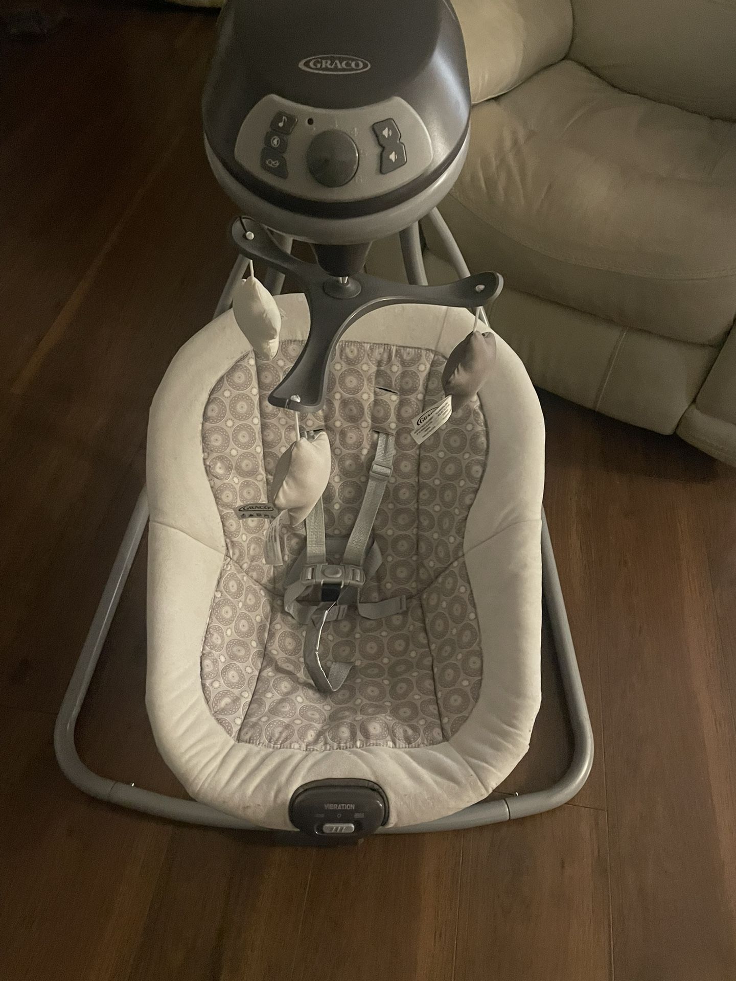 FREE~~~~ Graco Swing~~~