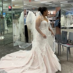 ✨ Vintage Blush Mermaid Wedding Gown – Lace, Illusion Sleeves, Chapel Train ✨