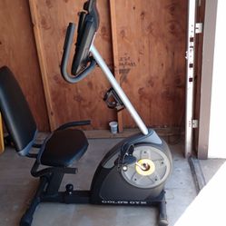 Golds Gym Cycle Trainer 400 Ri