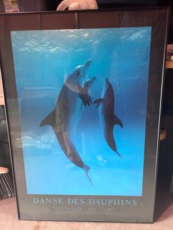 Bob Talbot 'Danse Des Dauphins' Framed Dolphin Photograph Poster