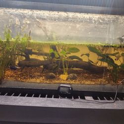10 Gallon Tank (Small Crack)