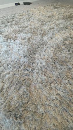 Grey Shag Rug