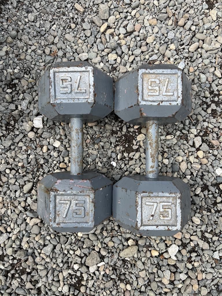 Dumbbells 2x75 Lbs