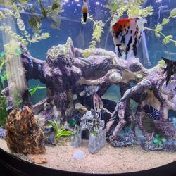 Selling My 55 Gallon Coner  Aquarium 