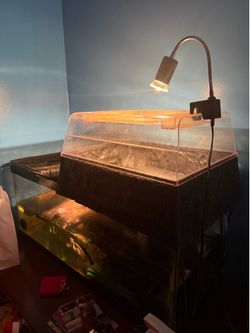 Turtle Tank 30 gallon long