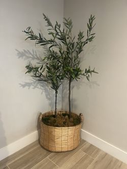Olive Leaf Synthetic Trees 