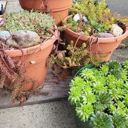 BEST EZ CARE YEAR'ROUND PLANTER