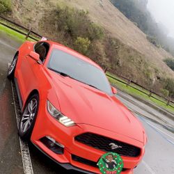 Ford mustang 2015 Ecco bost 4 cil turbo