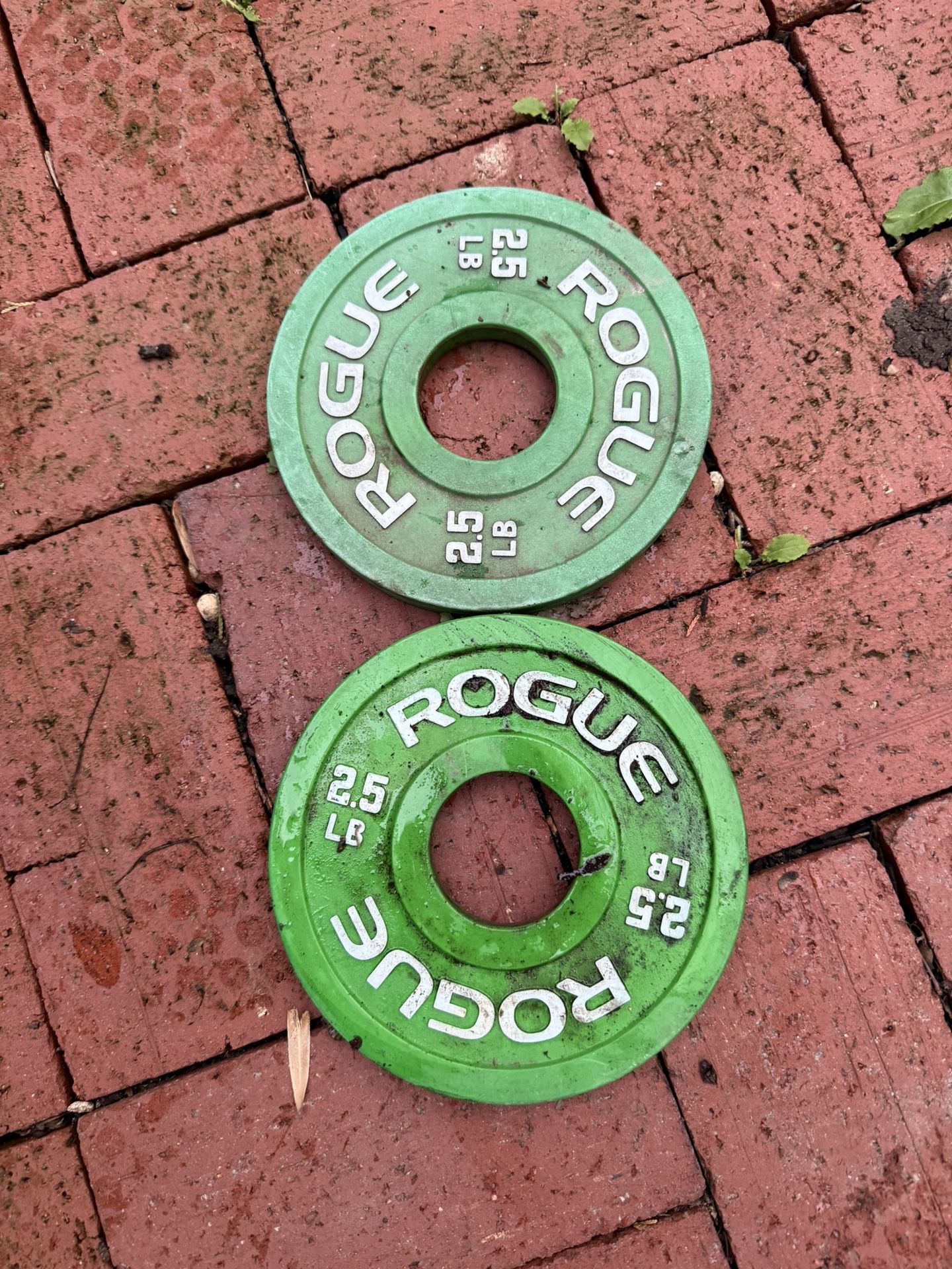 Rogue Fitness 2.5lb Change Plates 