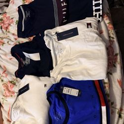Tommy Hilfiger Shirts