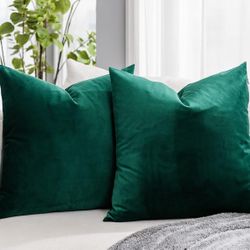 JUSPURBET Dark Green Throw Pillow Covers Set of 2 Decorative 22x22 Velvet Pillow Covers for Couch Sofa Bed Soft Cushion Covers Cases with Invisible Zi