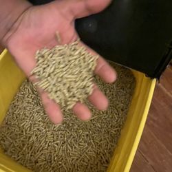 Bote De Comida De Conejo