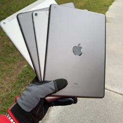 iPads 5 / 6 / 8 / Pro