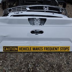 2018 - 2022 Ford F-150 Rear Tailgate OEM Part