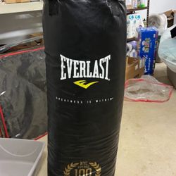 Everlast Punching Bag And Speed Bag